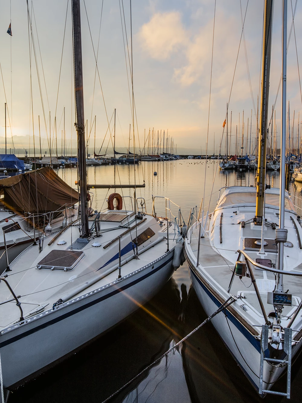 CompuSoft har nu lanserat API:et för inkvarteringsstatistik till Tillväxtverket.