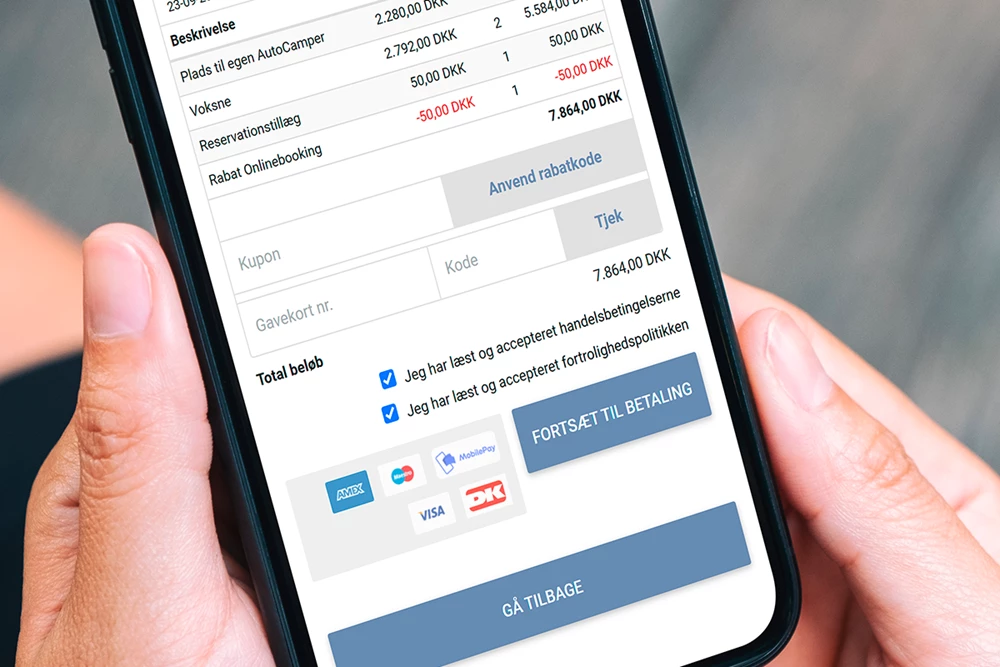 Problem free online payment solutions